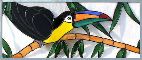 toucan transom window