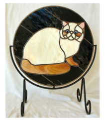 exotic shorthair cat panel