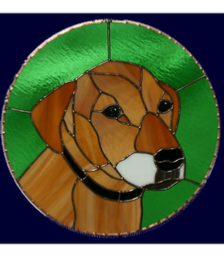rhodesian ridgeback dog window